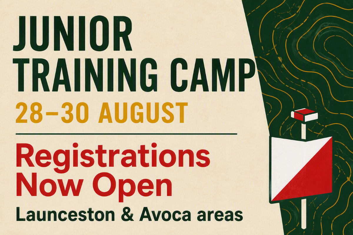 Junior-Training-Camp Junior-Training-Camp
