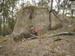 Bells Marsh - Tas Long Distance Championships - Sun 14 Sept